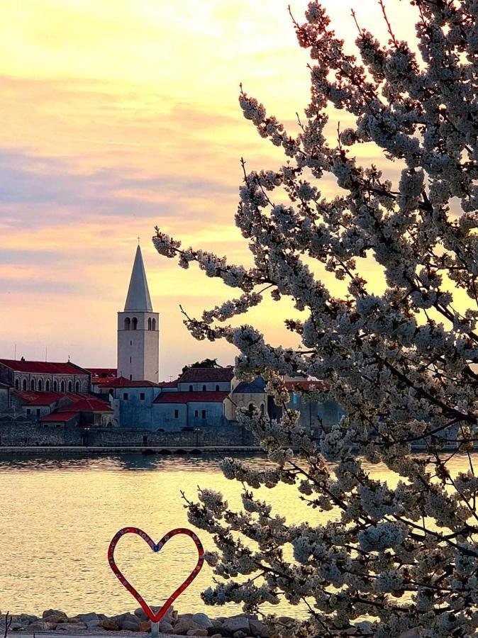 Apartman Perla Deluxe Poreč Zewnętrze zdjęcie